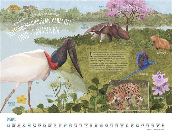 Produktbild Wo Tiere und Pflanzen zu Hause sind Kalender 2025 - Biome der Welt (44 x 34 cm, Harter Einband, Deutsch)