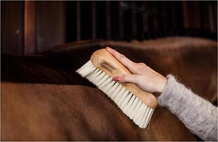 Actual product image Grooming Deluxe Body brush middle soft Body Brush middle soft