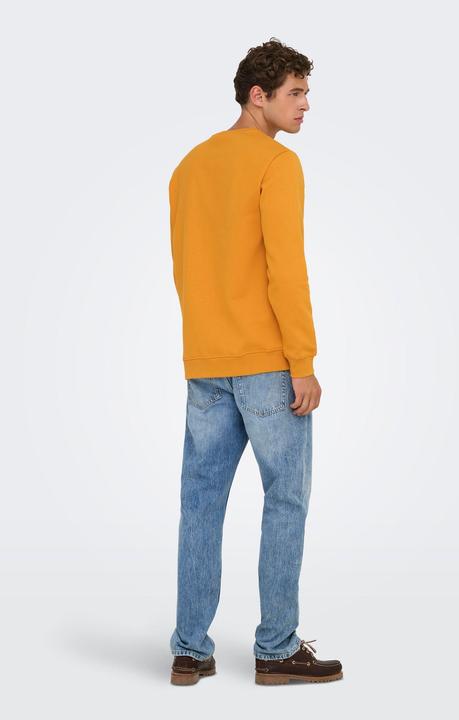 Image du produit Only & Sons Onsconnor Reg Crew Neck Sweat Noos (XL)