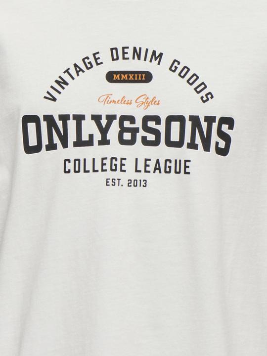 Actual product image Only & Sons Junior Osjlenny Life Reg Vintage Tee Jrs Noos (158)