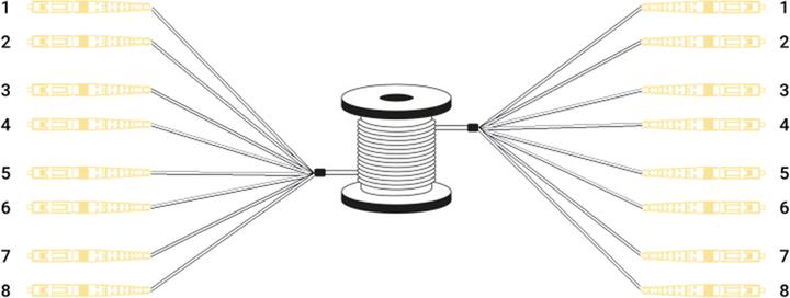 Image du produit Digitus Câble breakout fibre optique universel préassemblé, multimode OS2, 8 fibres, LC/UPC – LC/UPC (LSOH, CAT6, 30 m)