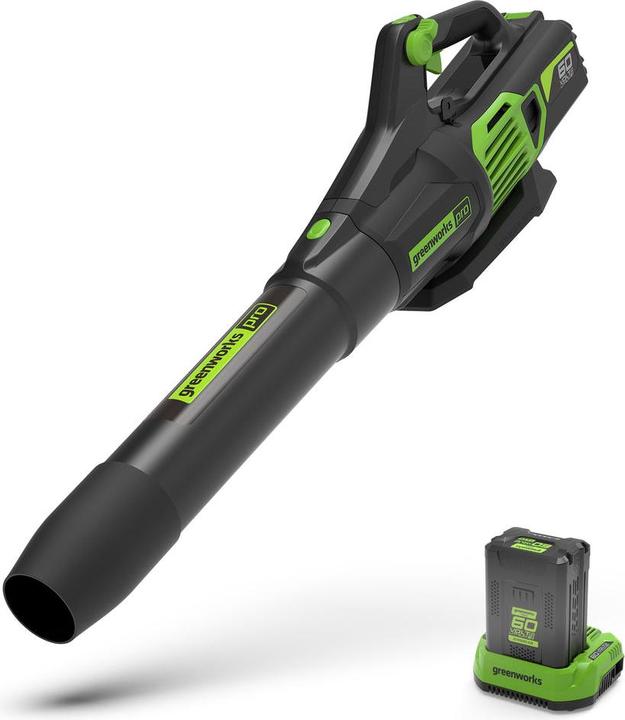 Greenworks GD60AB (Fonctionnement sur batterie, Souffleur de feuilles)