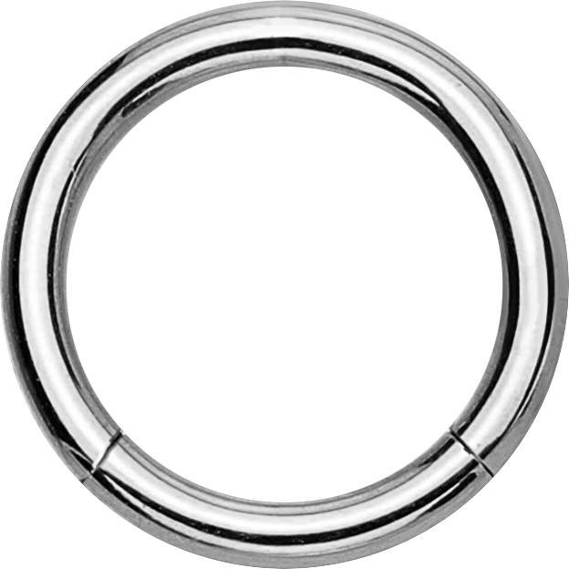 Produktbild Star Piercing Segmentring silber (Titan G23)
