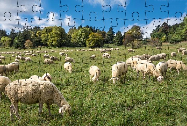 Immagine prodotto Cartolina puzzle Sveva Alb.173