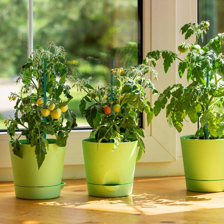Actual product image Relaxdays 50x planting sticks (50 cm, 50 cm)