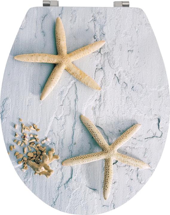 Image du produit MSV Étoile de mer
