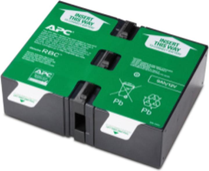 APC Batterie de remplacement n° 124