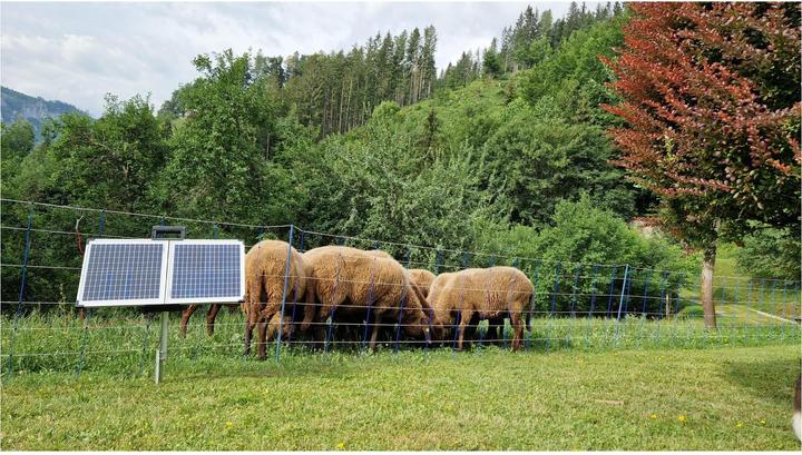 Actual product image AKO Solargerät Sun Power S3800 (40 W, 14 kg)