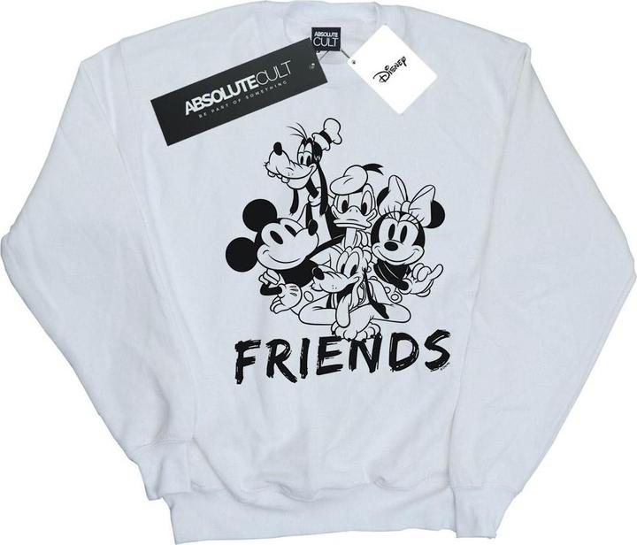 Disney Mickey Mouse And Friends Sweatshirt Mädchen (140, 146)