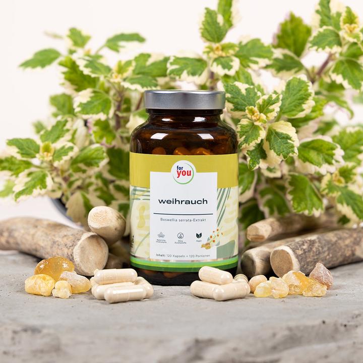 Produktbild For You weihrauch (120 Stück, Kapseln, 77.20 g)