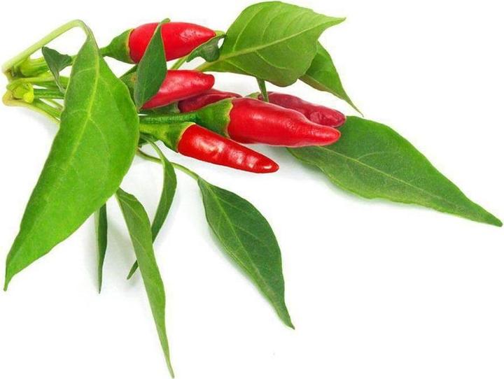 Produktbild Click and Grow Piri Piri Chili (Gemüsesamen)