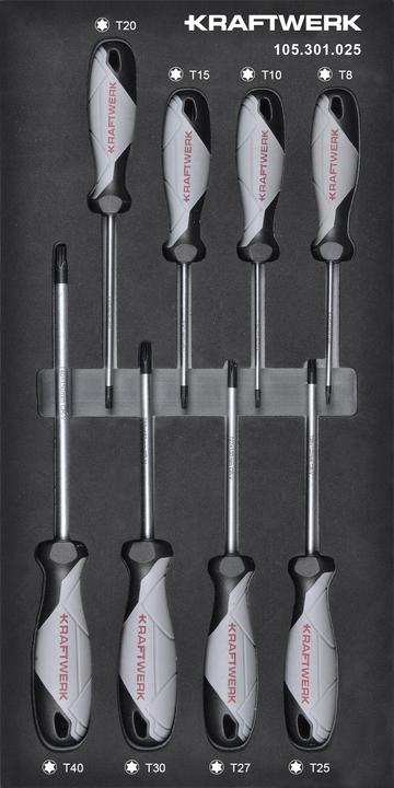 Kraftwerk Schraubendreher TX Einlage