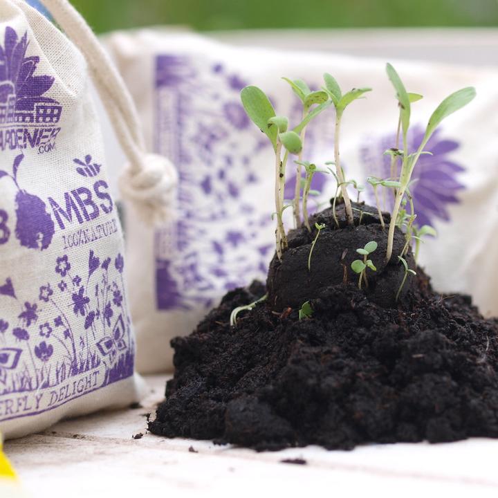 Actual product image Die Stadtgärtner Seed bombs butterfly meadow (Lawn reseed)