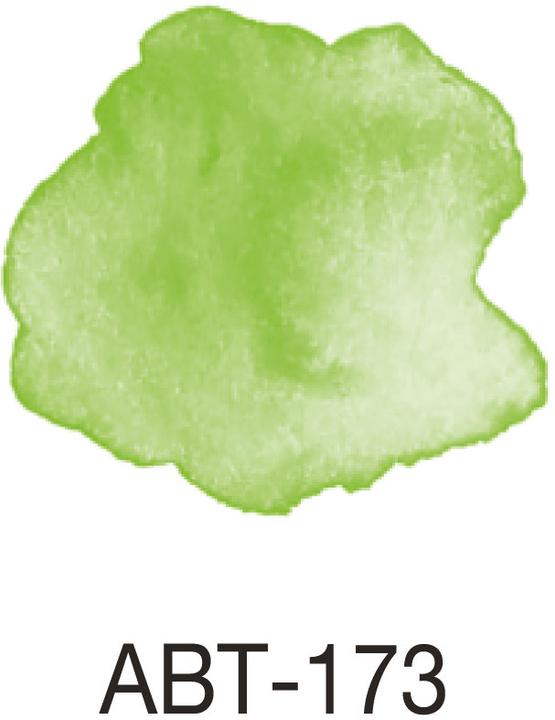 Actual product image Tombow ABT Dual Brush Pen (Green, 1 x)