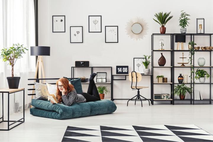 Image du produit Telestar Dira S24i (DAB+ DAB, Webradio, FM, VHF, Bluetooth, WiFi)