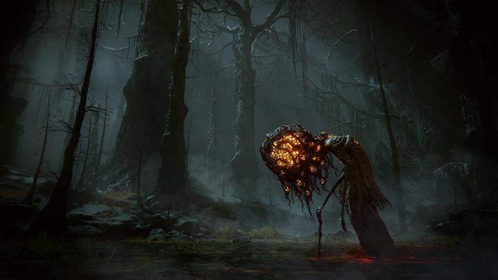 Actual product image Bandai Namco Elden Ring: Shadow of the Erdtree - Collector's Edition (PS5, EN)