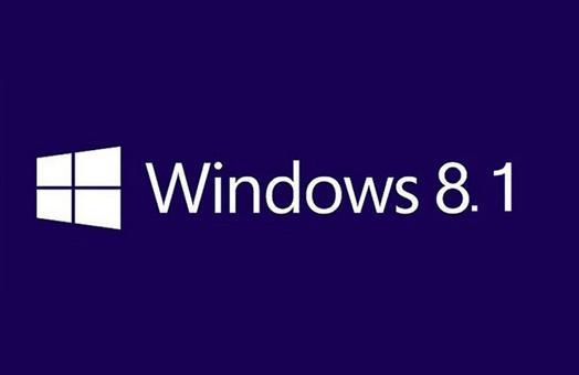 Microsoft Windows 8.1 Pro 32bit, OEM -D-