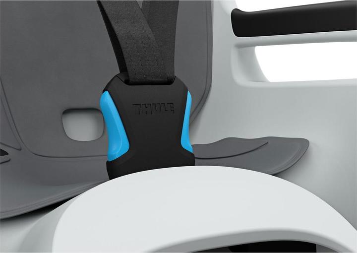 Actual product image Thule Ride Along 2 Rack Mount - Light Grey (Carrier)
