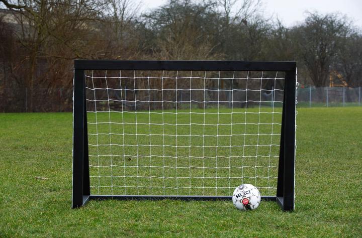 Actual product image Euro Play Homegoal Pro Mini - Sort