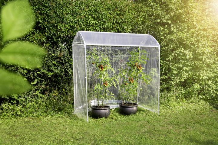 Produktbild Windhager Eratzfolie zu Tomatengewächshaus