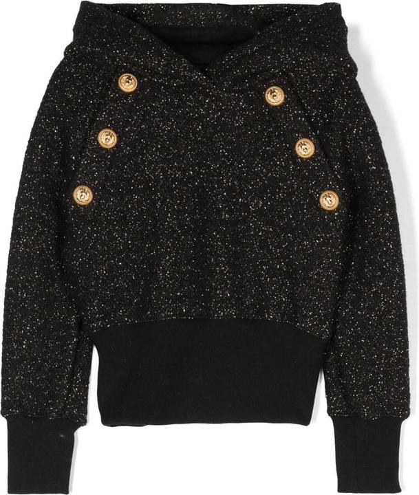 Balmain Sweatshirt (12)