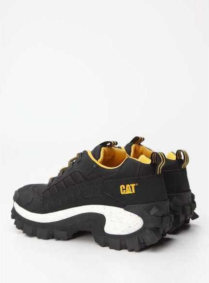 Immagine prodotto Cat 169124 (42)