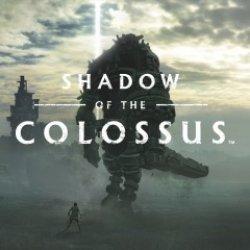 Actual product image Sony Interactive Entertainment Shadow of the Colossus PlayStation 4 (PS4, DE)