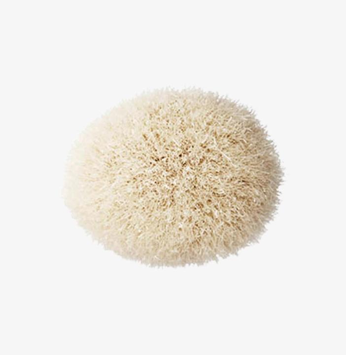 Actual product image MAC Cosmetics 168S Large Angled Contour Brush (Blusher)