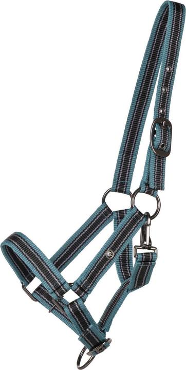 Qhp Foal halter collection for horse