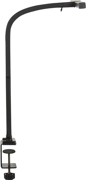 Actual product image Beliani Auriga (680 lm)