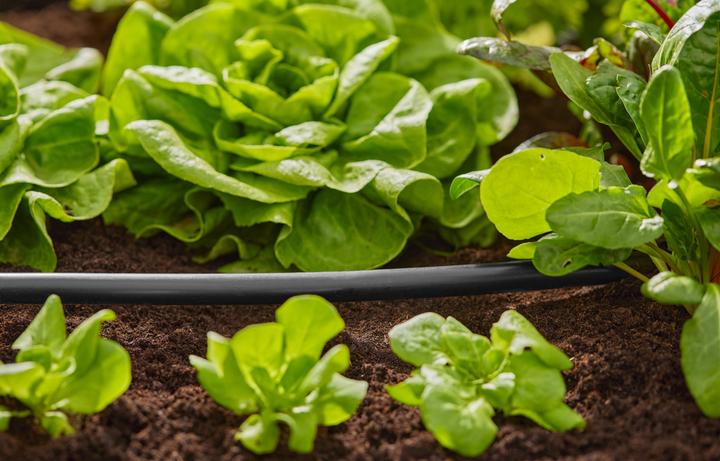 Productafbeelding Gardena Leiding leggen (1/2"x 15m) (Druppelslang + druppelslang)