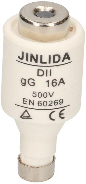 Actual product image Max Hauri Fuse DT (16 A, Lazy)