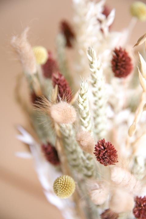 Immagine prodotto la fleur douce Fiori secchi Desert Flower (Fiori secchi)