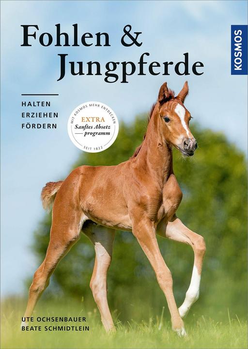 Produktbild Kosmos Fohlen und Jungpferde (Deutsch, Ute Ochsenbauer, 2021)