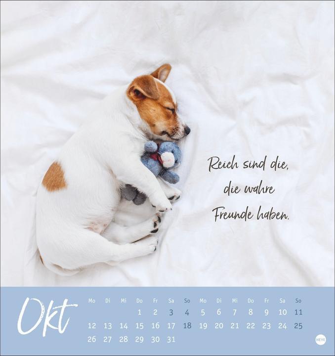 Actual product image Ziemlich beste Freunde Postkartenkalender 2026 - Für immer dein (Hardcover, German)