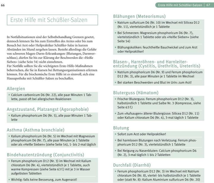 Produktbild Schüssler-Salze (Deutsch, Günther H. Heepen, 2016)