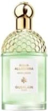 Guerlain Aqua Allegoria Rosa Verde EDT 200ml (Eau de Toilette, 200 ml)