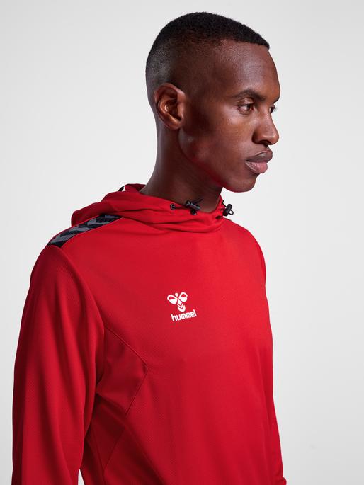 Actual product image hummel Hmlauthentic Pl Hoodie (S)