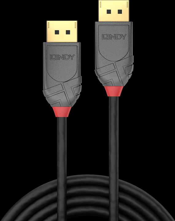 Immagine prodotto Lindy DisplayPort — DisplayPort (2 m, DisplayPort)