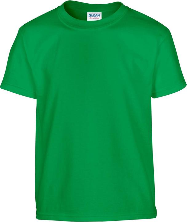 Gildan TShirt (XL)