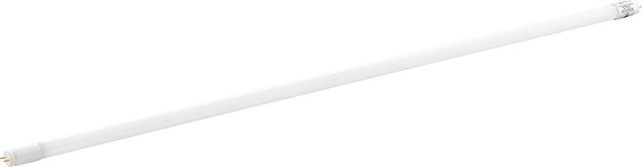 EGLO Leuchtmittel (G13, 15.50 W, 2500 lm, 10 x, C)