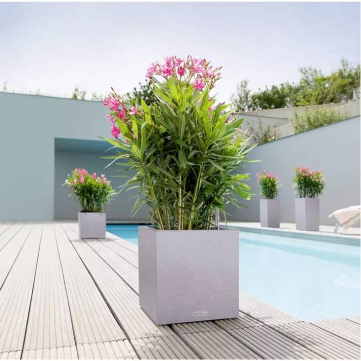 Produktbild Lechuza Canto Color Würfel (30 cm)