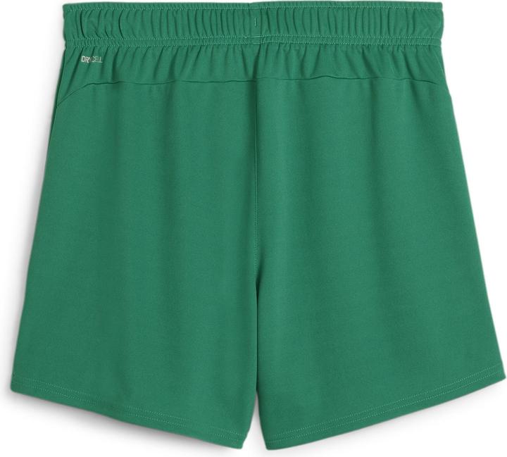 Actual product image Puma teamGOAL Handball Shorts W (M)