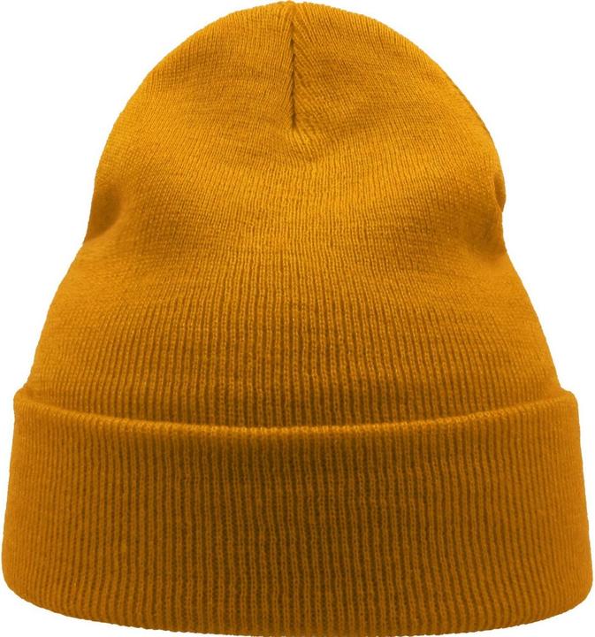 Actual product image Atlantis Unisex Adult Wind Recycled Cuffed Beanie