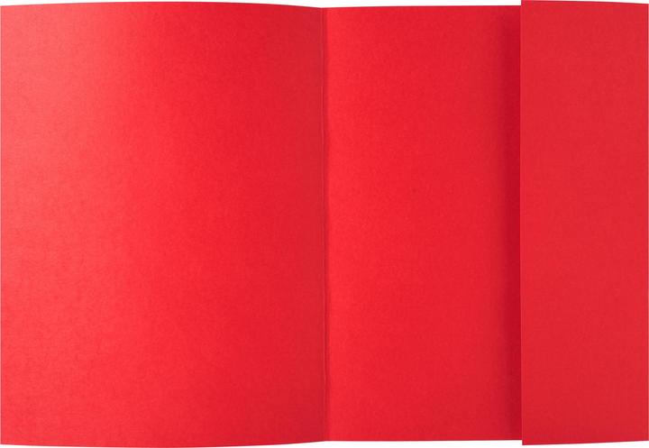 Immagine prodotto Exacompta Scrapbook - Copertine di file (A4, 50 x)