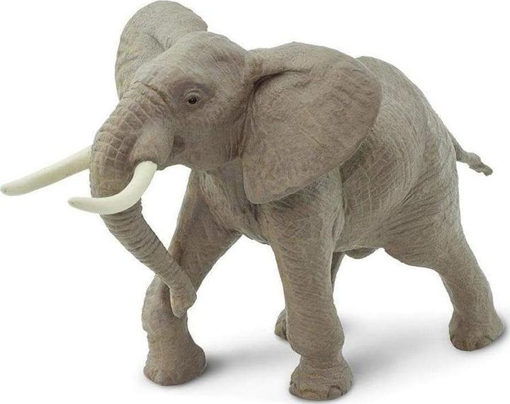 Produktbild Safari Männlicher Afrikanischer Elefant