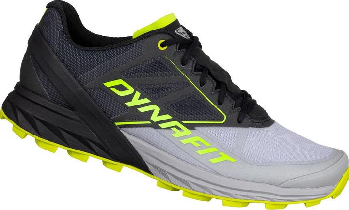 Actual product image Dynafit Alpine Laufschuh (40.5)