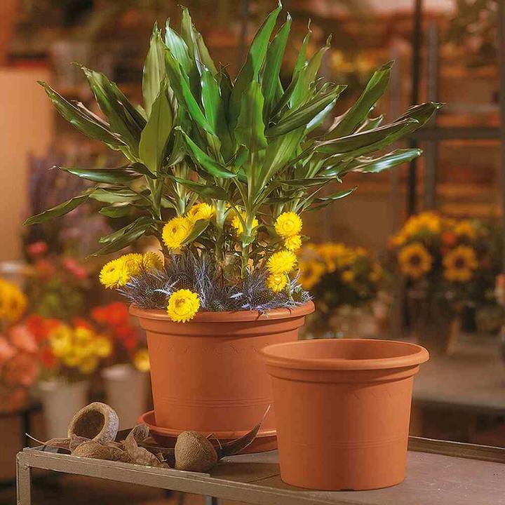Productafbeelding Euro3plast Plantenbak (25 cm)
