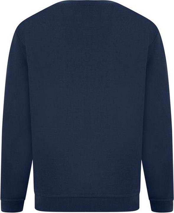 Image du produit Absolute Apparel UTAB113 P (L)
