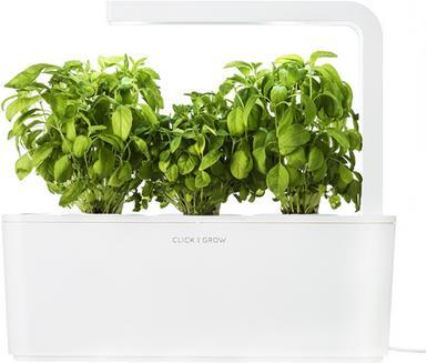 Produktbild Click and Grow Smart Herb Garden (12 cm)
